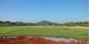 nho nui ngoc au tien